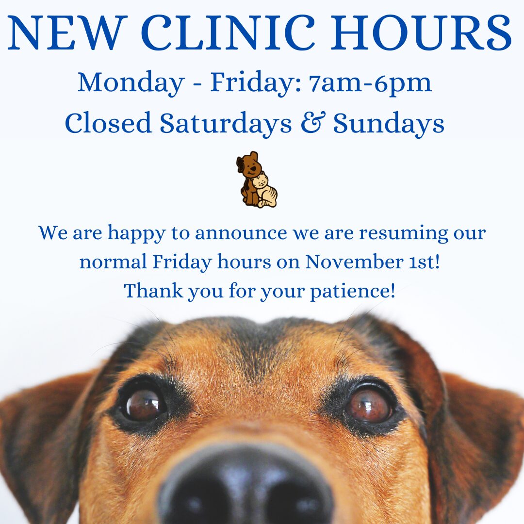 clinic hours