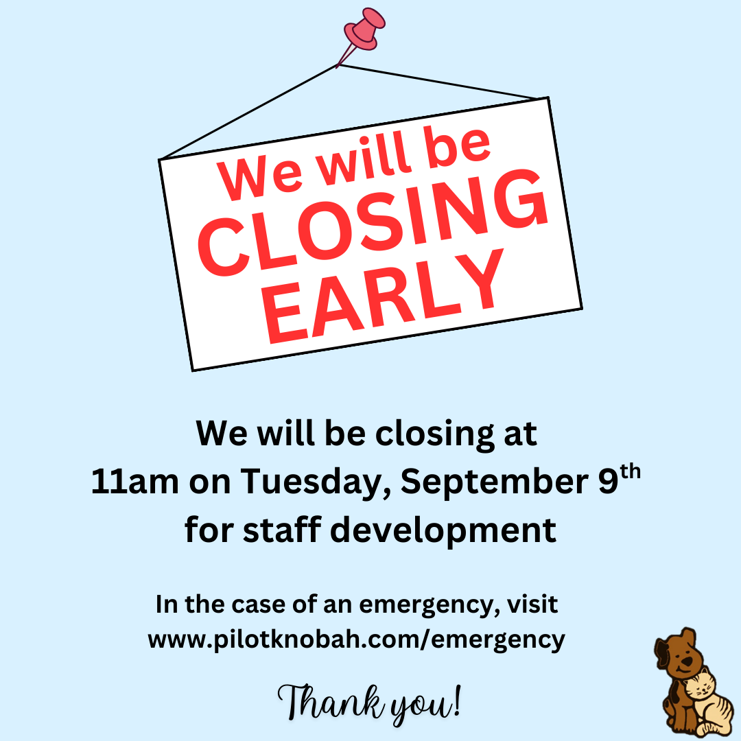 clinic hours