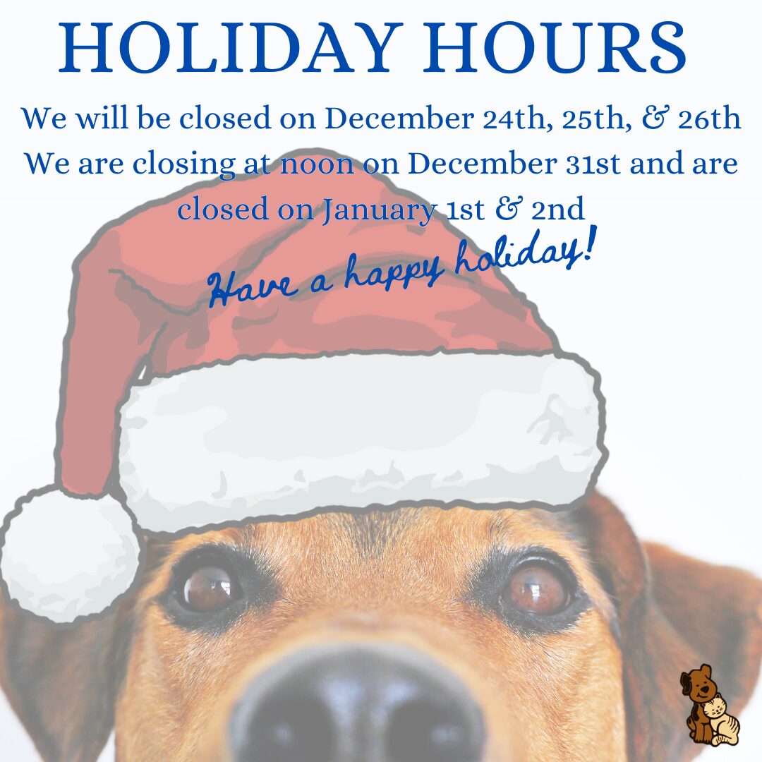 Website Square clinic hours