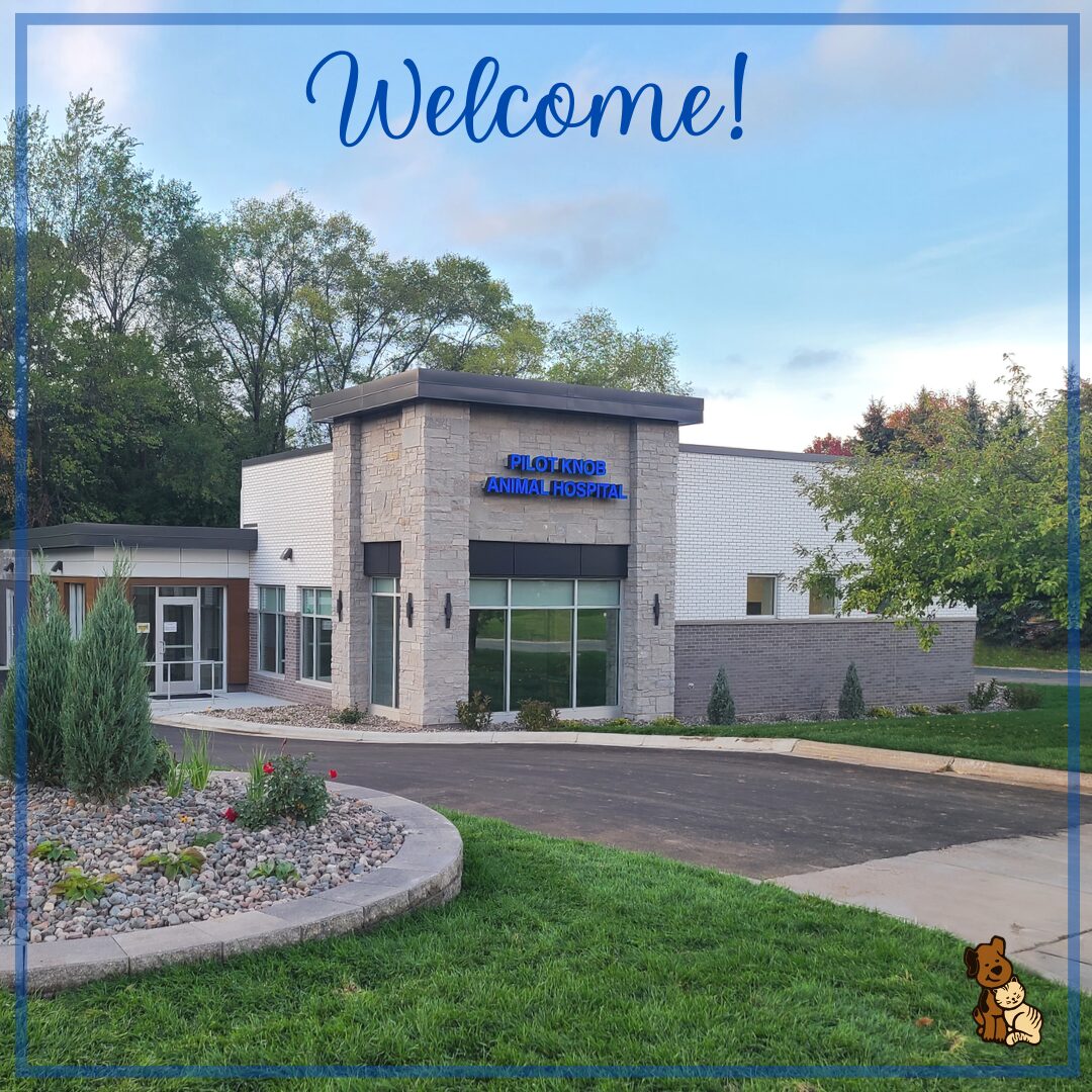 Website Square clinic hours