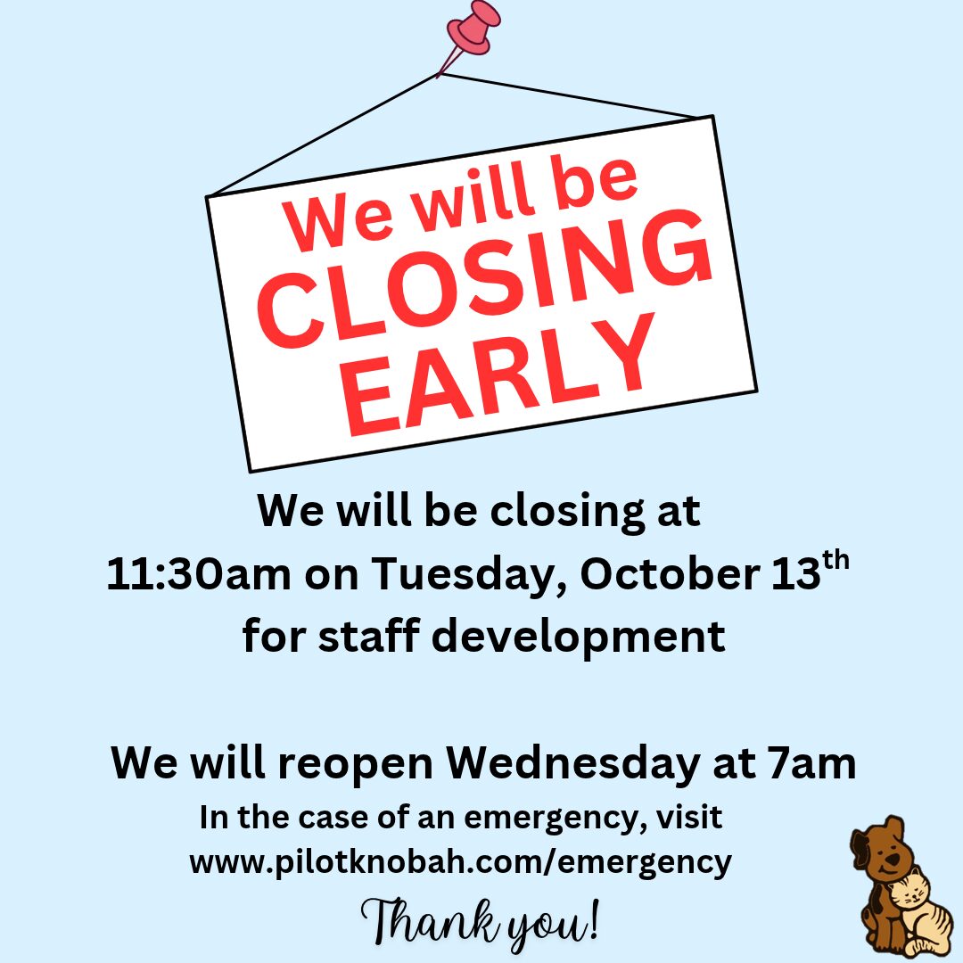 clinic hours